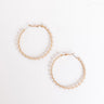 New York Grove Hoop Earrings Image - 1