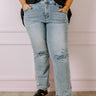 Risen The Lona Midrise Distressed Jean Curves Image - 1