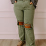 Risen The Eras High Waist Distressed Jean in Pear Curves Image - 1