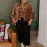 Roman Holiday Velvet Top In Brown Curves Image - 1