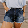 Risen Lela High Waist Shorts in Dark Wash Curves Image - 1