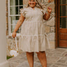 Cue The Charm Mini Dress in Taupe Curves Image - 1