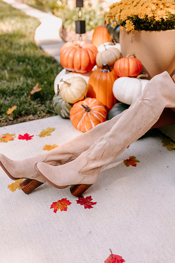 The Juliet Faux Suede Thigh High Boot in Oatmeal Image - 2