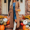 City Nights Coat in Mocha Image - 1