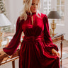 Holiday Social Velvet Mini Dress in Wine Image - 1
