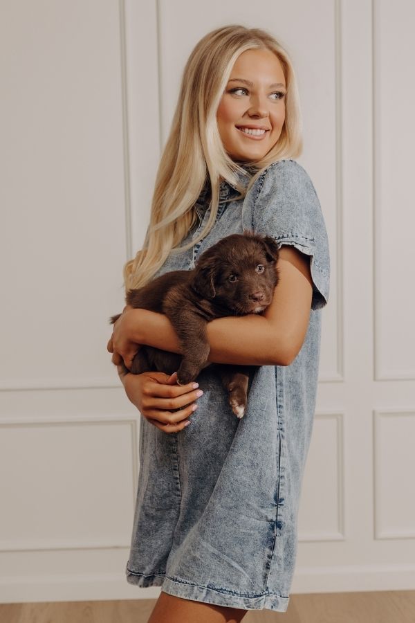 Park Days Ahead Chambray Romper in Light Wash Image - 4