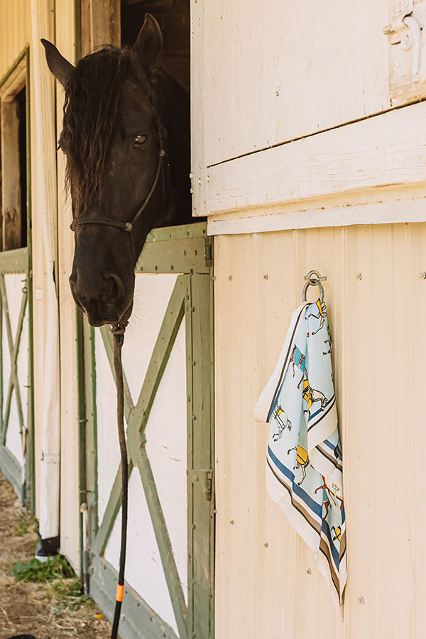 Hold Your Horses Satin Hair Scarf Image 1