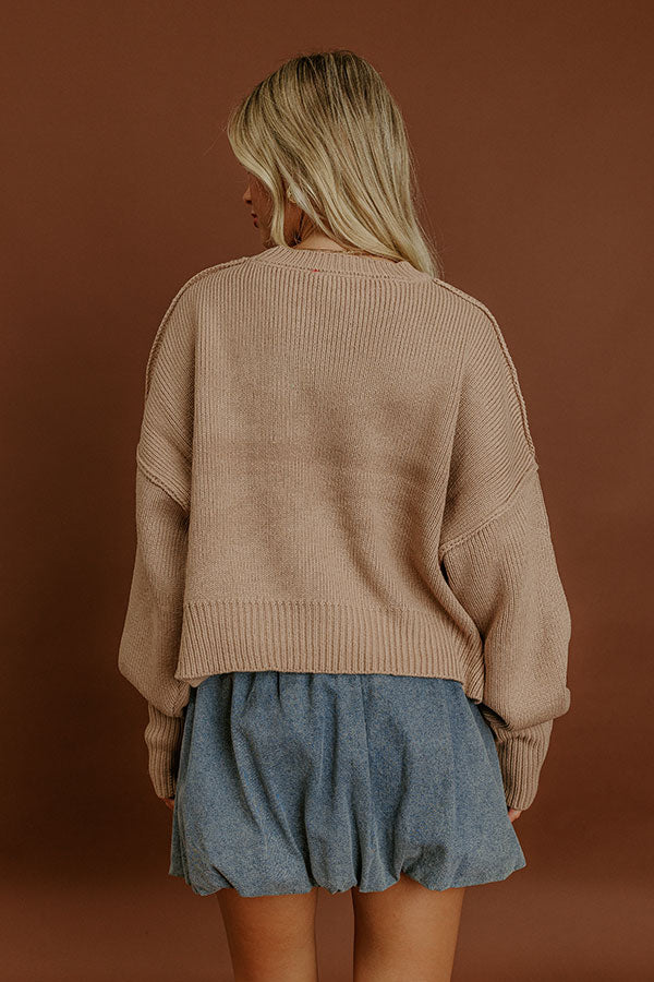 Trailside Bliss Knit Sweater in Iced Mocha Image 5