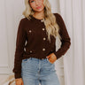 Posh Moment Knit Cardigan in Chestnut Image 1