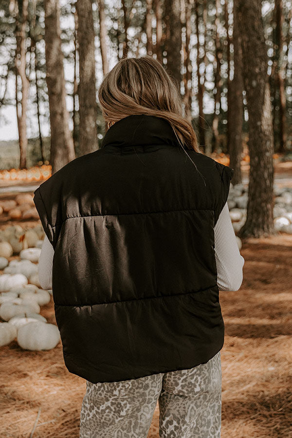 Brisk Stroll Puffer Vest in Black Image 5