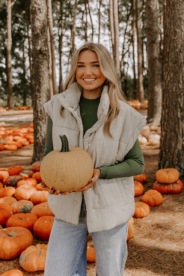 Brisk Stroll Puffer Vest in Stone Image 1