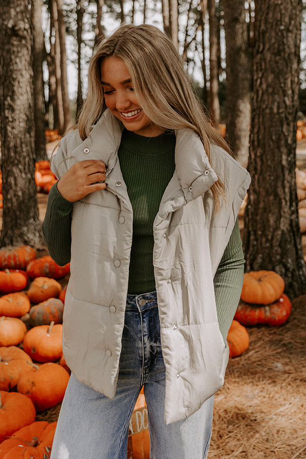 Brisk Stroll Puffer Vest in Stone Image 4