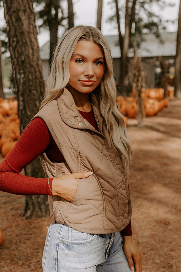 Morning Dew Quilted Vest in Mocha Image 4