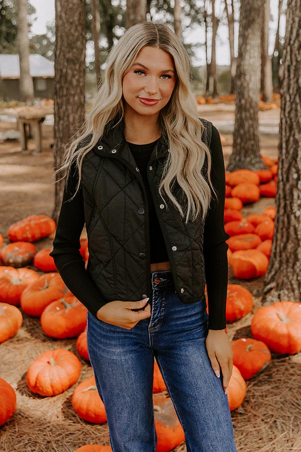 Morning Dew Quilted Vest in Black Image 5