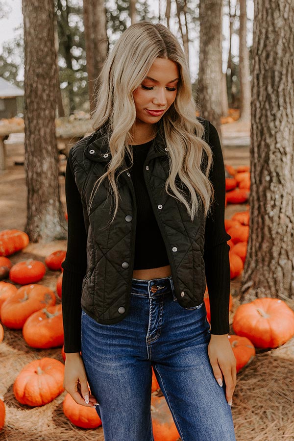 Morning Dew Quilted Vest in Black Image 3