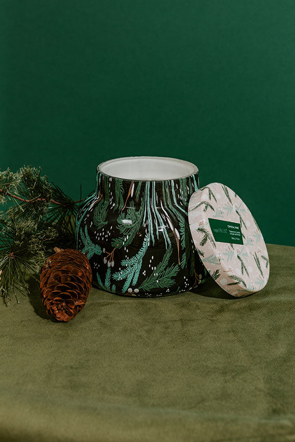 Capri Blue Holiday Pattern Play Signature Candle in Crystal Pine Image - 1