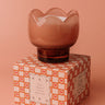 Paddywax Tulip Glass Candle in Cactus Flower Image - 1