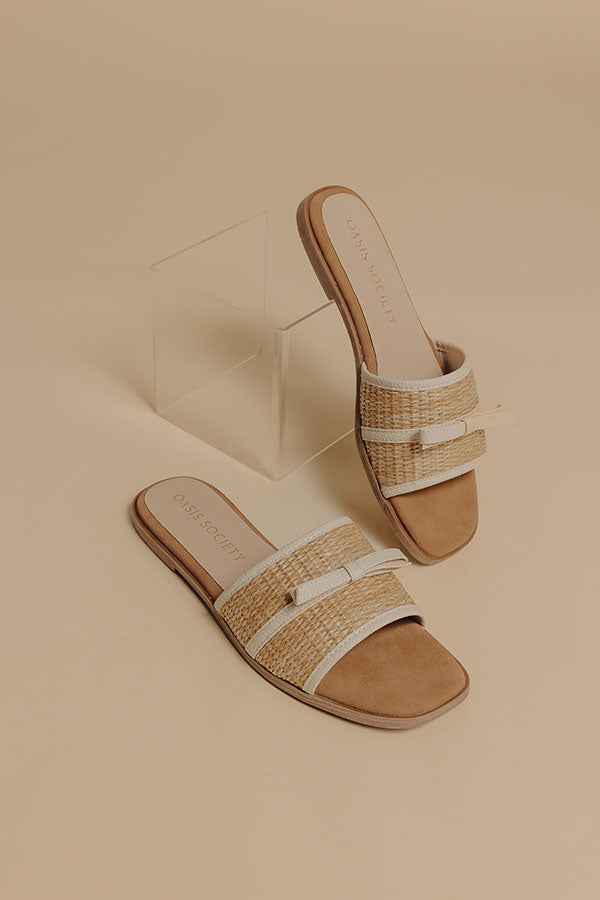 The Andrea Raffia Woven Sandal in Natural Image - 1