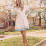 Madison Moment Embroidered Button Down Mini Dress Image - 1