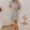 Seaside Chic Stripe Mini Dress in Navy Image - 1