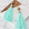 Effortlessly Lovely Tassel Earrings In Mint Image - 1