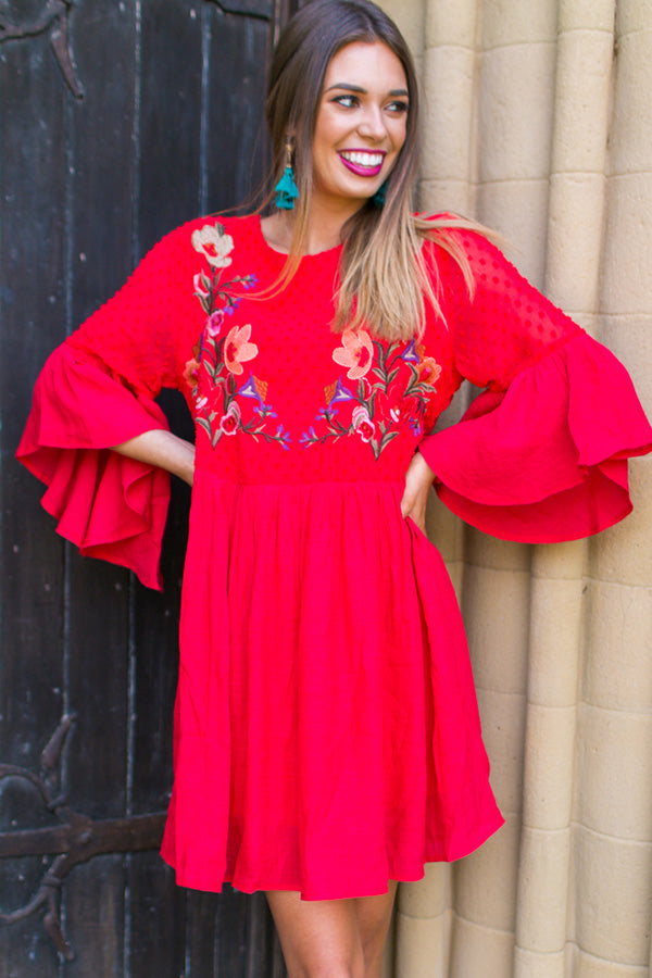 Secret To Happiness Embroidered Shift Dress in Red Image - 1