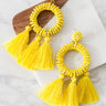 Infinite Options Tassel Earrings In Yellow Image - 1