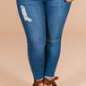 Key West High Waist Distressed Skinny in Medium Wash Curves Image - 1