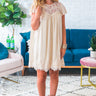 Jetting To Rome Lace Shift Dress in Cream Image - 1