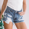 The Aven High Rise Distressed Shorts Image - 1