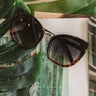 Ocean Views Sunnies In Tortoiseshell Ombre Image - 1