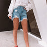 The Oh So Classic High Waist Shorts Image - 1