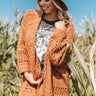 Hot Cocoa By The Fire Knit Cardigan In Camel Image - 1