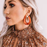 Passport Please Earrings In Rust Image - 1