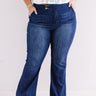 The Cici High Waist Flare   Curves Image - 1