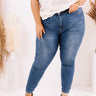 The Arcadia High Waist Skinny   Curves Image - 1