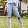 The French Midrise Distressed Ankle Skinny In Light Wash Image - 1