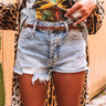 Stolen Hearts Concho Leather Belt In Brown Image - 1