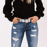 Lucky Streak Snake Print Belt In Silver Image - 1