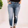The Tyla Midrise Distressed Ankle Skinny Curves Image - 1