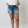 The Elyse Midrise Distressed Shorts In Medium Wash   Curves Image - 1