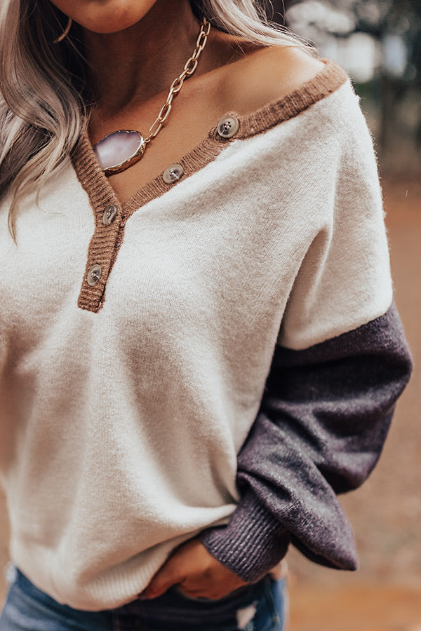 Upstate Promise Colorblock Sweater In Mocha Image - 1