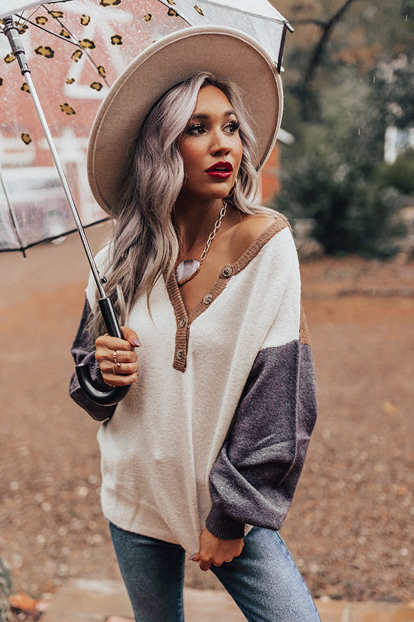 Upstate Promise Colorblock Sweater In Mocha