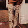 The Tipson Faux Suede Thigh High Boot In Light Birch Image - 1