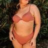 Just Add Water High Waist Bikini Bottom in Rust Curves Image - 1