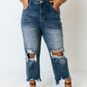 Risen The Polliana High Waist Distressed Jean in Medium Wash Curves Image - 1