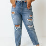 The Mason High Waist Relaxed Skinny Curves Image - 1