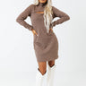 Fall Feels Sweater Dress In Hazelnut Image - 1