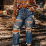 Risen The Casa High Waist Distressed Jean Curves Image - 1