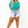 The Ariana High Waist Distressed Shorts Curves Image - 1